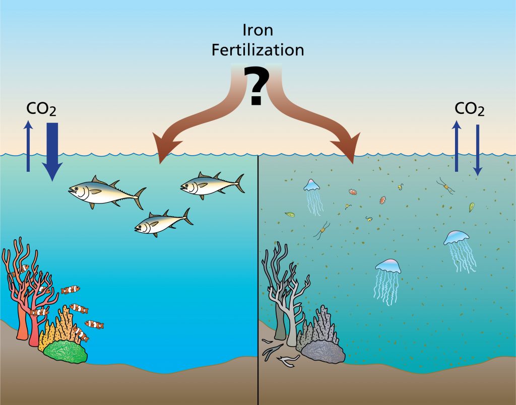 Ocean iron fertilization.