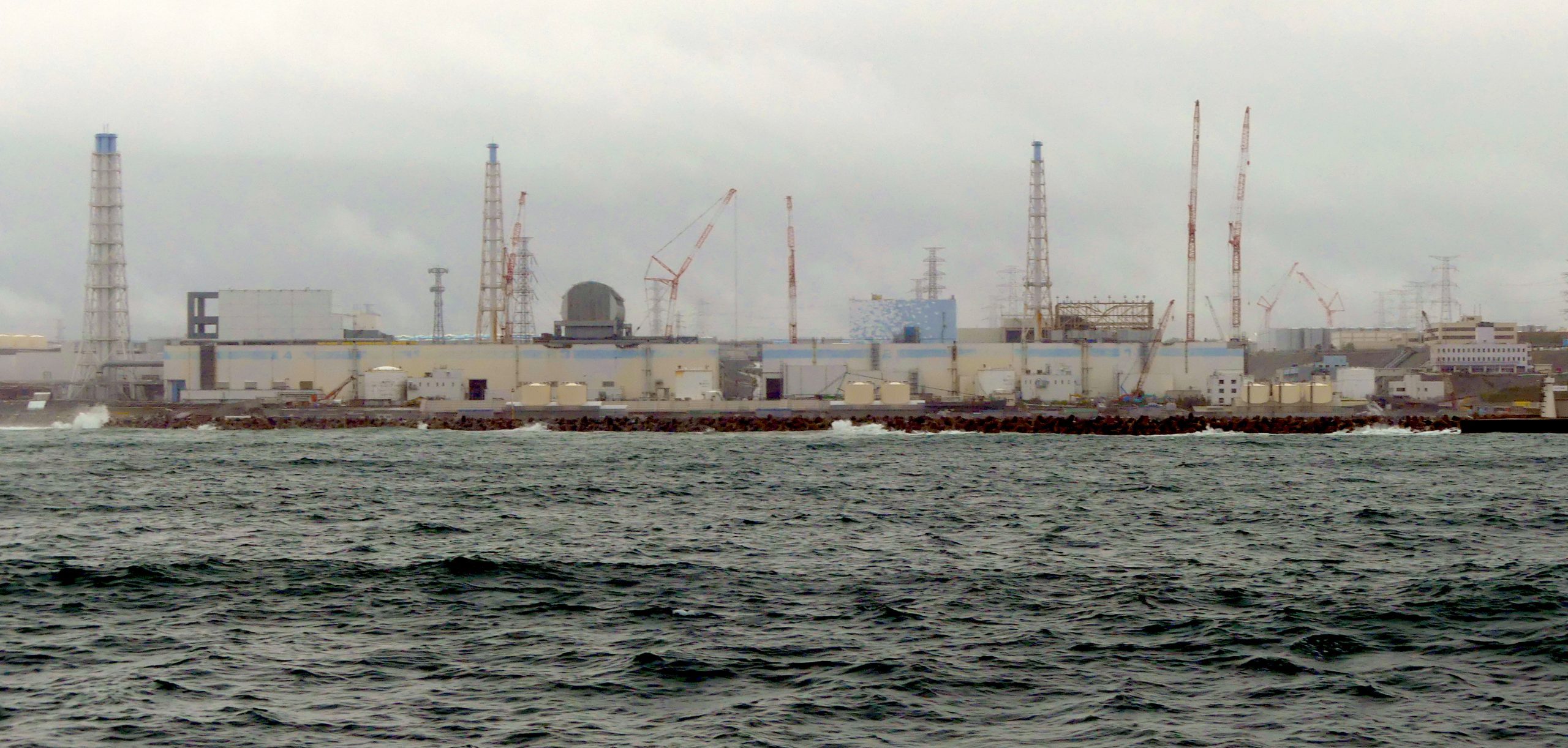 NPP Ocean