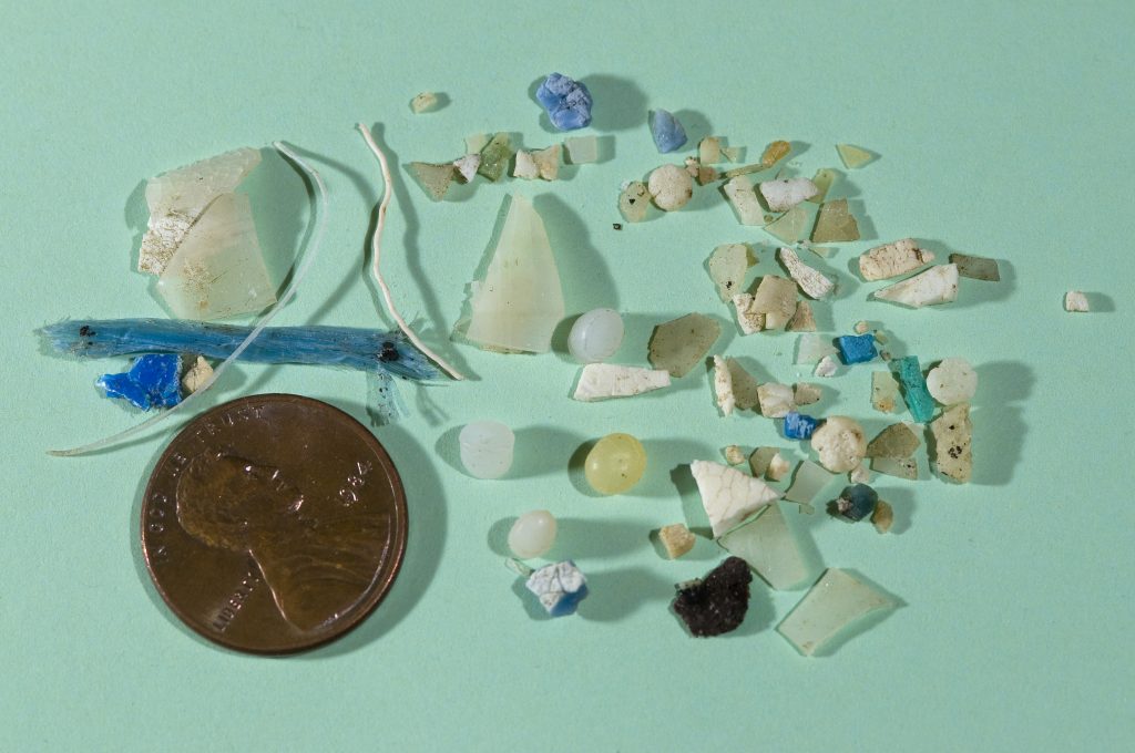 Woods Hole Sea Grant Activities